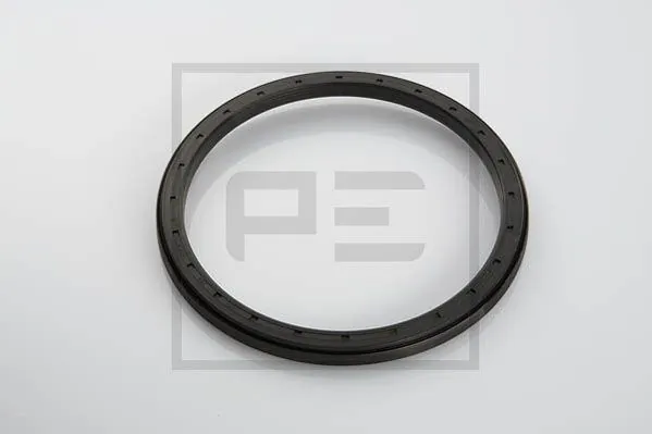 Shaft Seal, wheel hub